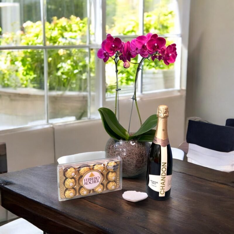 Orquídea Pink em Vaso de Vidro, Ferreiro Roche e Chandon