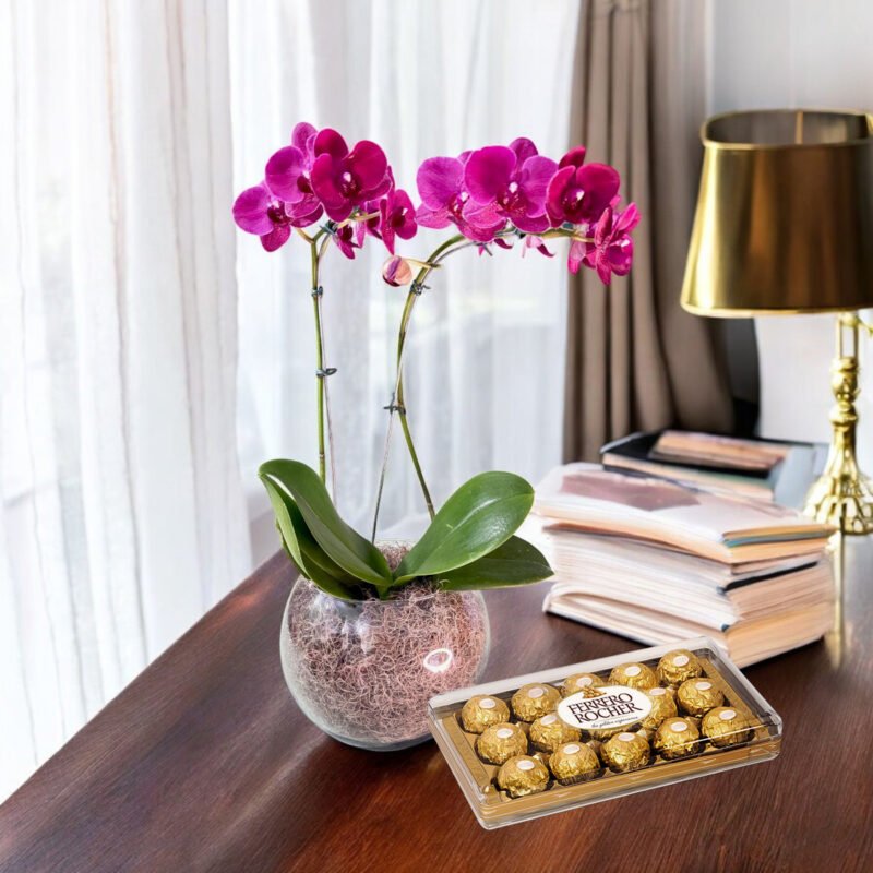 Orquídea Pink em Vaso de Vidro e Ferreiro Rocher