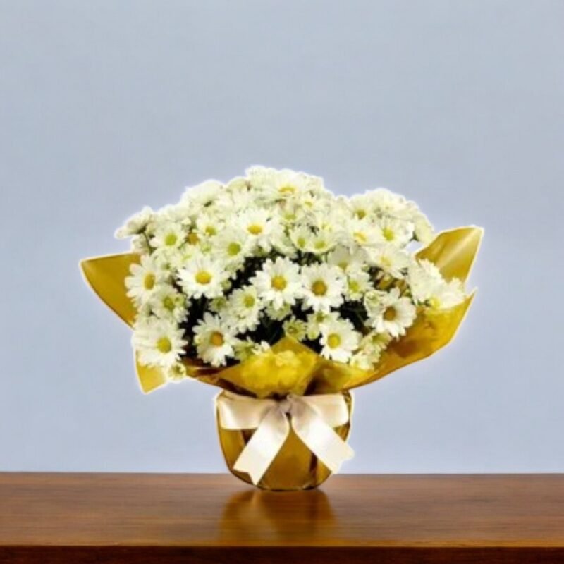 Mini Vaso de Margaridas Plantados