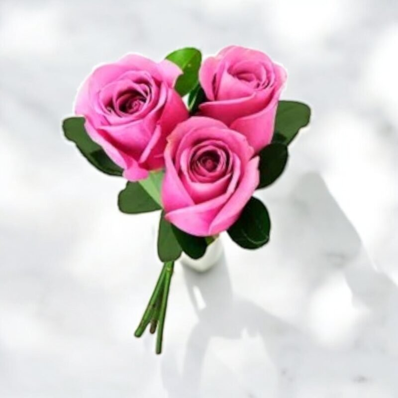 Buquê 3 Rosas Cor de Rosa