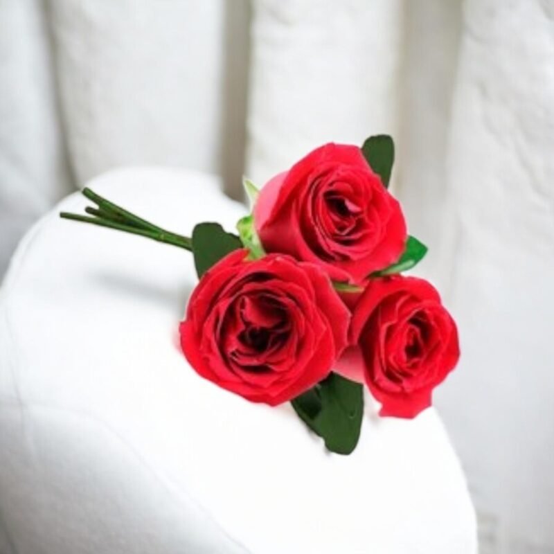Buquê 3 Rosas Vermelhas